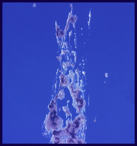 sudden_death_14